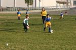 C-Elephants  0022_resize